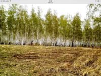Лот: 16027442. Фото: 2. Меняю участки Дрокино на предложенное. Продажа