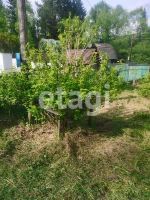 Лот: 25294244. Фото: 4. 2-комн. дача , поселок Горный... Красноярск