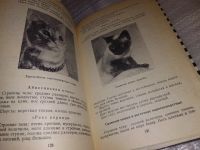 Лот: 16971694. Фото: 4. Ляшкевич В., Донец Н. Страшнее... Красноярск