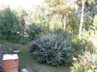 Лот: 14477864. Фото: 9. Продается дом 48 кв.м. 13 сот...