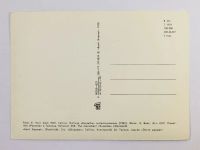 Лот: 23296522. Фото: 3. Эстонская ССР. Памятник Русалке... Коллекционирование, моделизм