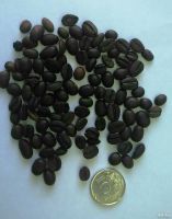 Лот: 13158729. Фото: 2. Кофе в зернах AltaRoma Arabica... Продукты