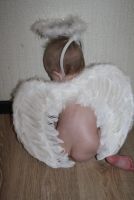 Лот: 12524298. Фото: 3. Крылья ангела и нимб. Новый год!