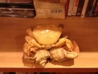 Лот: 5992866. Фото: 2. Крым. Сувенир с моря Краб на трех... Сувениры