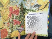 Лот: 13512562. Фото: 4. Евгений Пермяк "Королева Буль-Буль... Красноярск