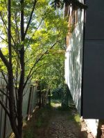 Лот: 13994850. Фото: 3. Дача. Недвижимость