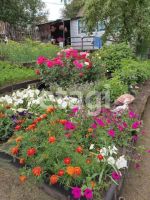 Лот: 25294218. Фото: 3. 2-комн. дача , Красноярск Делегатская... Недвижимость