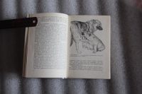 Лот: 18794879. Фото: 5. Книга: Собаки. Доброрука Л.Й...