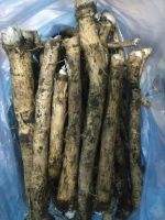 Лот: 5877264. Фото: 2. Хрен свежий, корень на еду! Ядрёный... Продукты