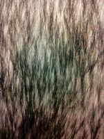 Лот: 4496175. Фото: 2. Женская жилетка. Женская одежда