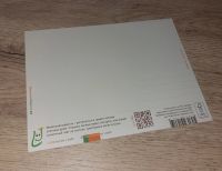 Лот: 20319428. Фото: 2. Открытка "Гамак". 16х12см. Открытки, билеты и др.