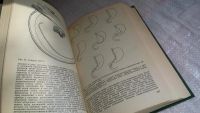 Лот: 8274668. Фото: 3. Болезни органов пищеварения у... Литература, книги