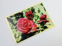 Лот: 23296579. Фото: 2. Роза. Открытка. 1966. Открытки, билеты и др.