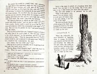 Лот: 20007081. Фото: 4. Edgar Allan Poe - The Gold Bug... Красноярск
