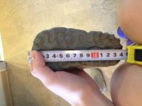 Лот: 4614689. Фото: 2. Валенки 20 размер. Обувь