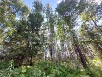 Лот: 25294871. Фото: 17. 2-комн. дом , посёлок Элита посёлок...