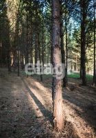 Лот: 25295123. Фото: 5. участок , СНТ Рось СНТ Рось, 57...