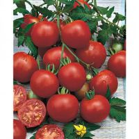 Лот: 13252017. Фото: 3. Рассада томатов, красноплодные... Для дачи, дома, огорода, бани, парка