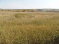 Лот: 3096792. Фото: 5. Продам участок ИЖС/ЛПХ 450 соток...