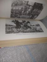 Лот: 25718901. Фото: 3. озр...вбю..(40923102)(40923102... Красноярск