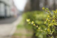 Лот: 13725769. Фото: 5. Minolta 28-70 G f2.8