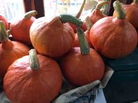 Лот: 18085627. Фото: 2. Тыква оранжевая. Продукты