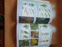 Лот: 19854672. Фото: 3. Книга "Все о комнатных растениях... Растения и животные