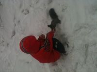 Лот: 5063271. Фото: 2. Reima костюм 104-110 на 3-4 года... Одежда и аксессуары