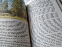 Лот: 18192209. Фото: 11. Стрижев А.Н., Календарь русской...