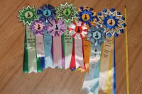 Лот: 3222034. Фото: 2. Розетки с выставок. Сувениры