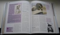 Лот: 18895801. Фото: 5. История: правда и вымысел