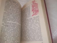 Лот: 11735451. Фото: 9. Цветы в комнате и на балконе...