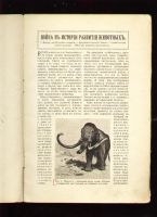 Лот: 6511542. Фото: 3. Усов М.А. Война в истории развития... Коллекционирование, моделизм