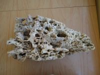 Лот: 4259917. Фото: 2. Песчаник. Аквариумистика