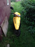 Лот: 3469080. Фото: 3. Honda dio,цена на пару дней. Авто, мото, водный транспорт