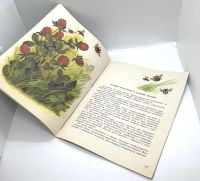 Лот: 25169609. Фото: 10. 📗 Анатолий Онегов. На лугу. Худ...