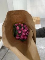 Лот: 18629428. Фото: 18. Тюльпан оптом и розницу!