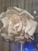 Лот: 11020126. Фото: 5. Бумажные цветы (фотозона, свадьба...