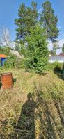 Лот: 25290744. Фото: 10. 2-комн. дача , садоводческое некоммерческое...