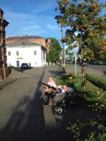 Лот: 10245453. Фото: 3. коляска для двойни. Дети растут