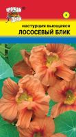 Лот: 12955142. Фото: 2. Семена настурции вьющейся махровой... Семена, рассада, садовые растения