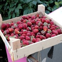 Лот: 25376362. Фото: 2. Лот berryGo: Клубника 🍓 Чёрный... Продукты