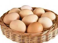 Лот: 3513677. Фото: 2. Яйцо деревенских кур из Хакасии. Продукты