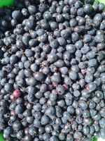 Лот: 20732827. Фото: 2. Ирга сладкая 10л. Продукты