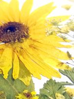 Лот: 21002672. Фото: 5. Подстаканник - подсолнух / подставка...