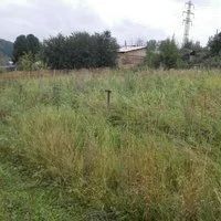 Лот: 12597303. Фото: 2. земельный участок. Продажа