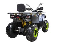 Лот: 25659151. Фото: 4. Квадроцикл MOTOLAND 200 Wild Track... Красноярск