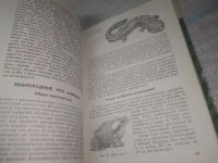 Лот: 25526846. Фото: 7. ВбР/оз(4092365)Молис С. Хрестоматия...