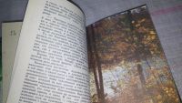 Лот: 9016130. Фото: 4. Федор Худушин Слово о красоте...