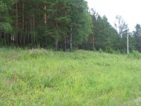 Лот: 9045704. Фото: 6. Замечательное место для строительства...